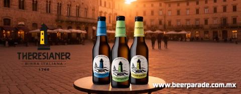 Imagen del carrusel 2